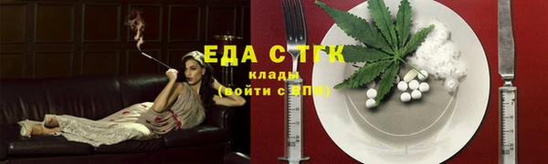 индика Киреевск